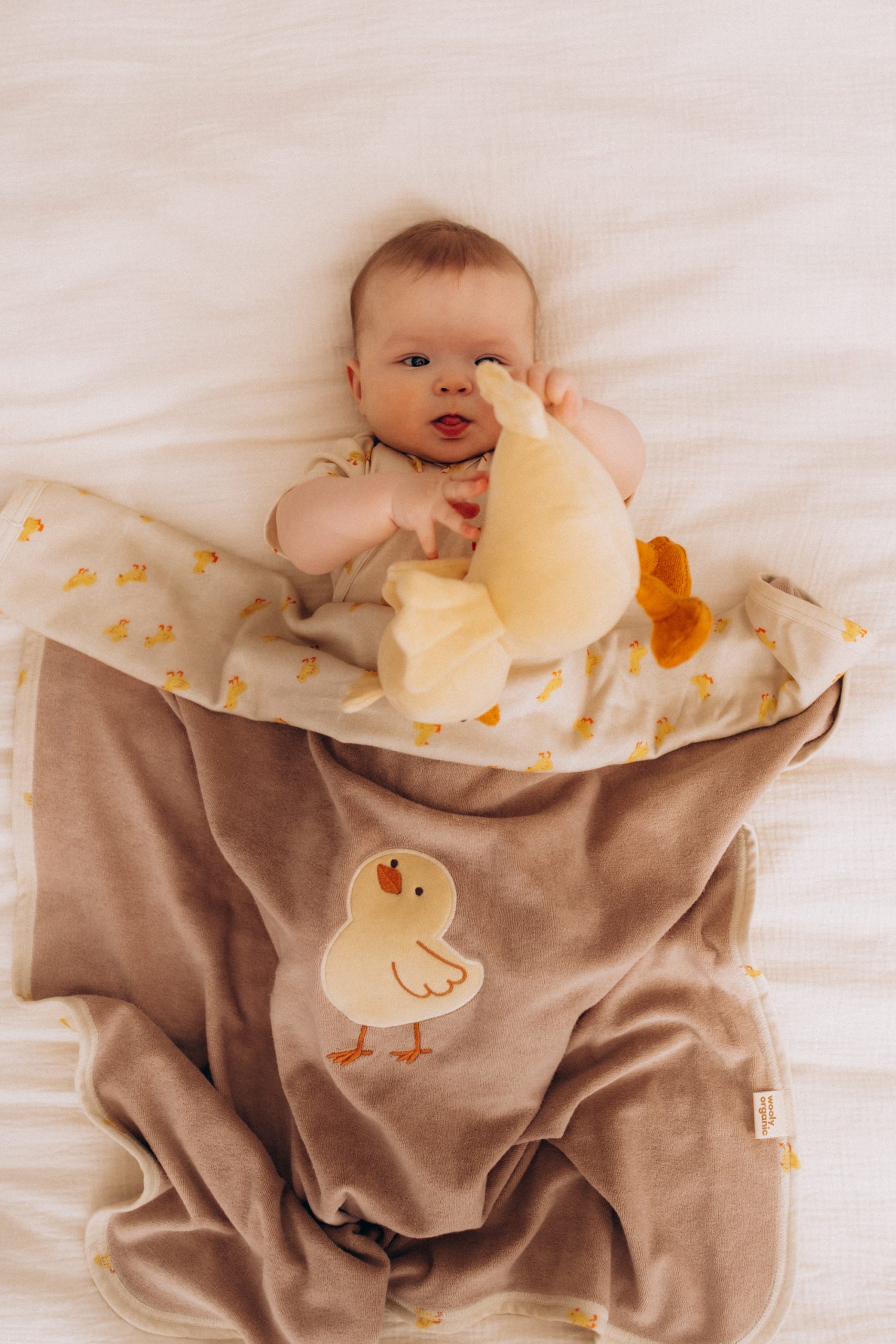 Woolly Organic Baby Blankets coperta ricamata cotone bio 75x85