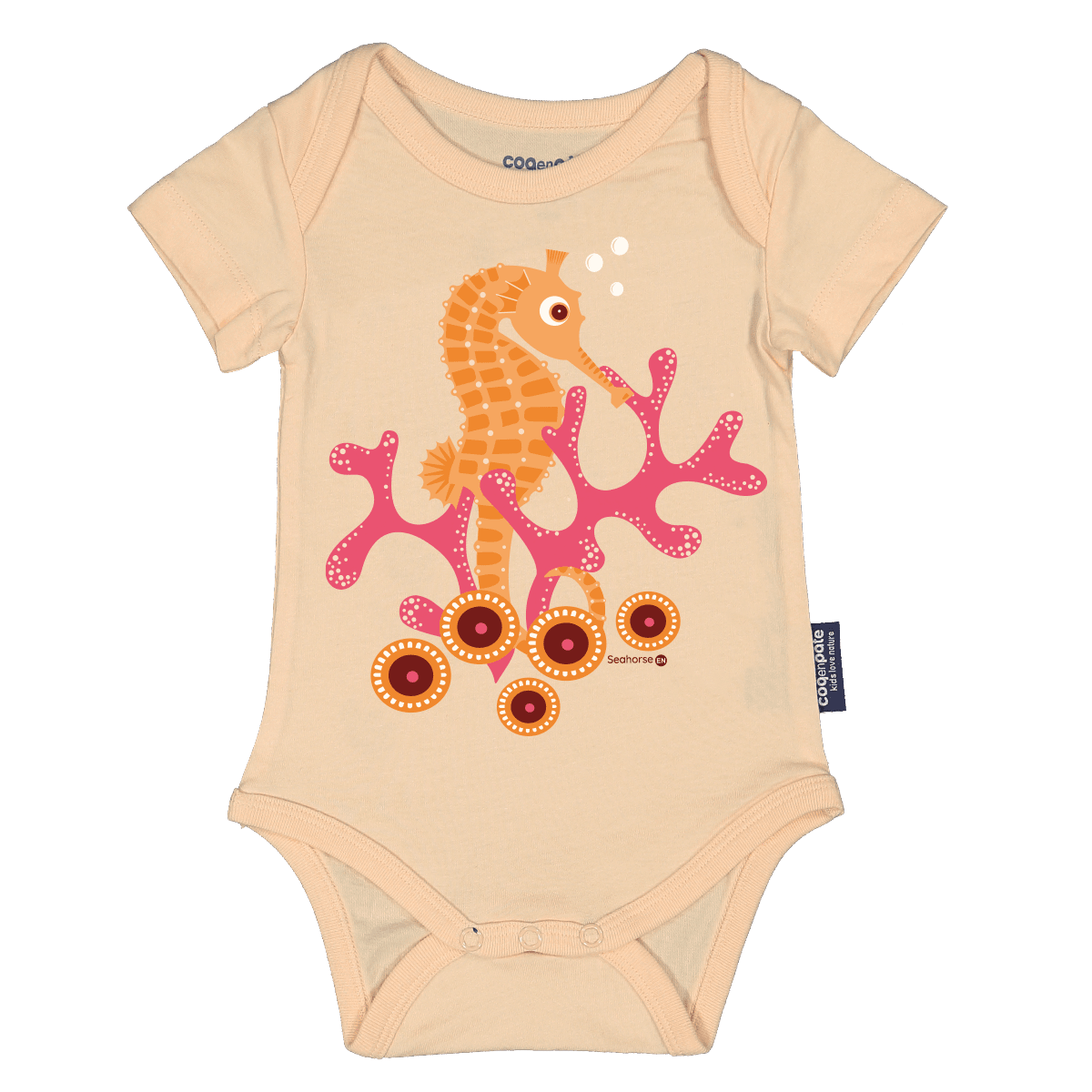 Coq en Pâte Body Cavalluccio Marino cotone bio 3-6 mesi