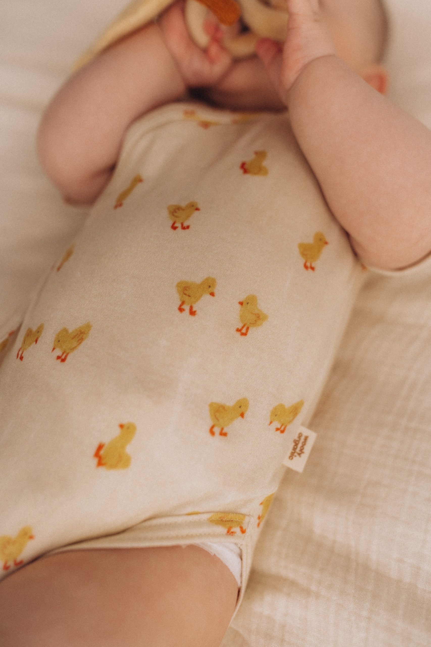 Woolly Organic Baby Bodysuits body incrociato manica corta