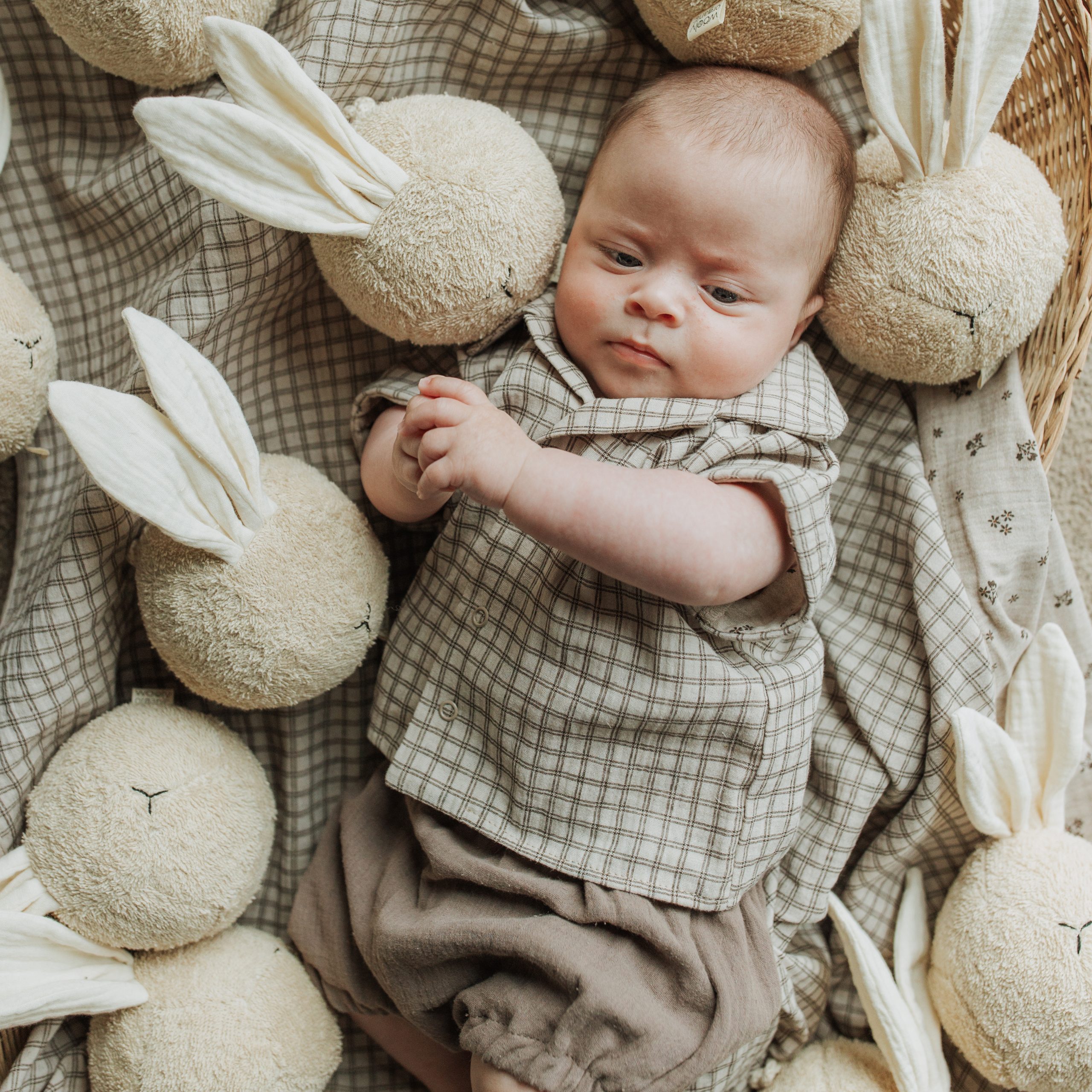 Woolly Organic Baby Sets Muslin Shirt Bloomers completo mussola bio