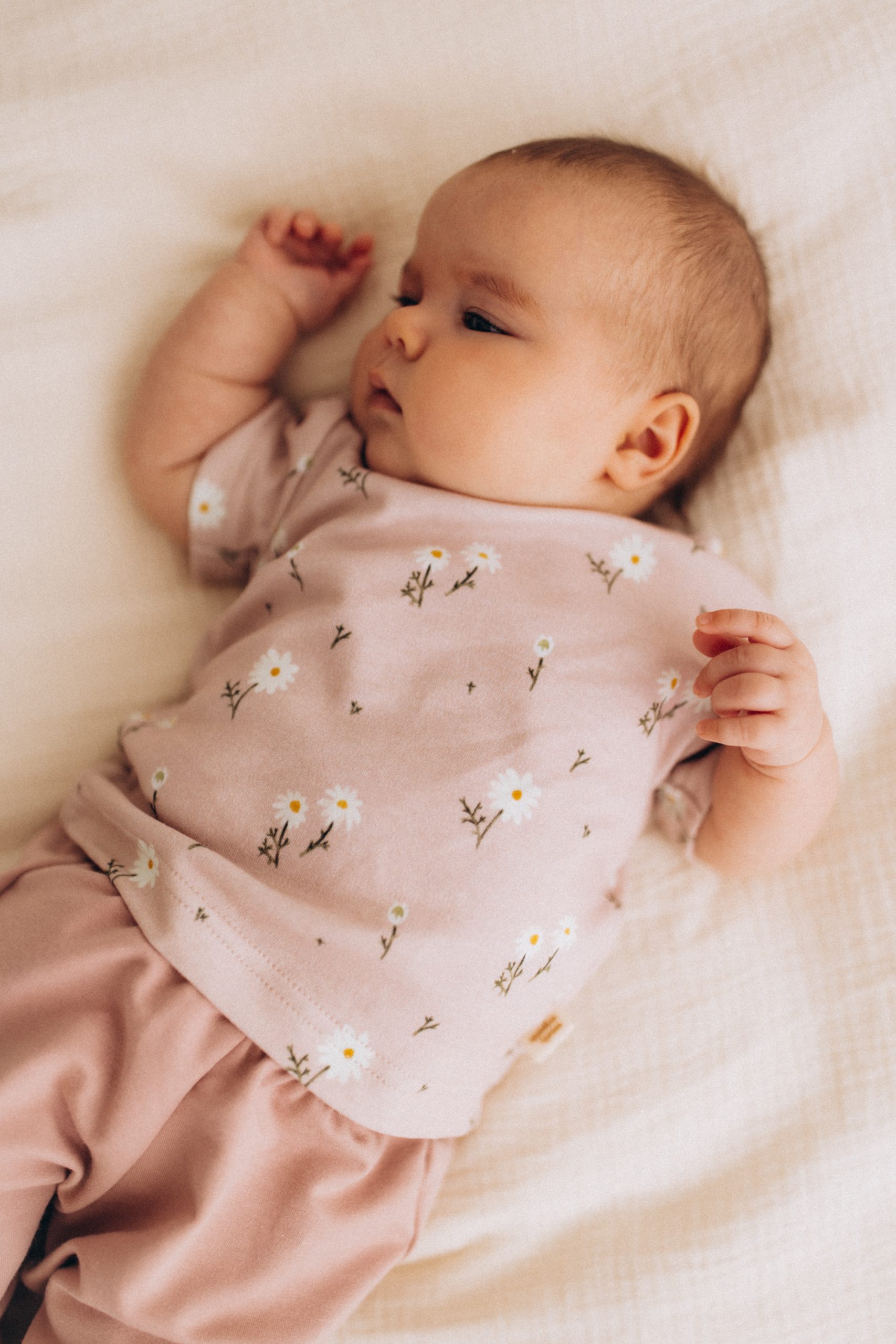 Woolly Organic Baby Shirts maglietta manica corta cotone bio