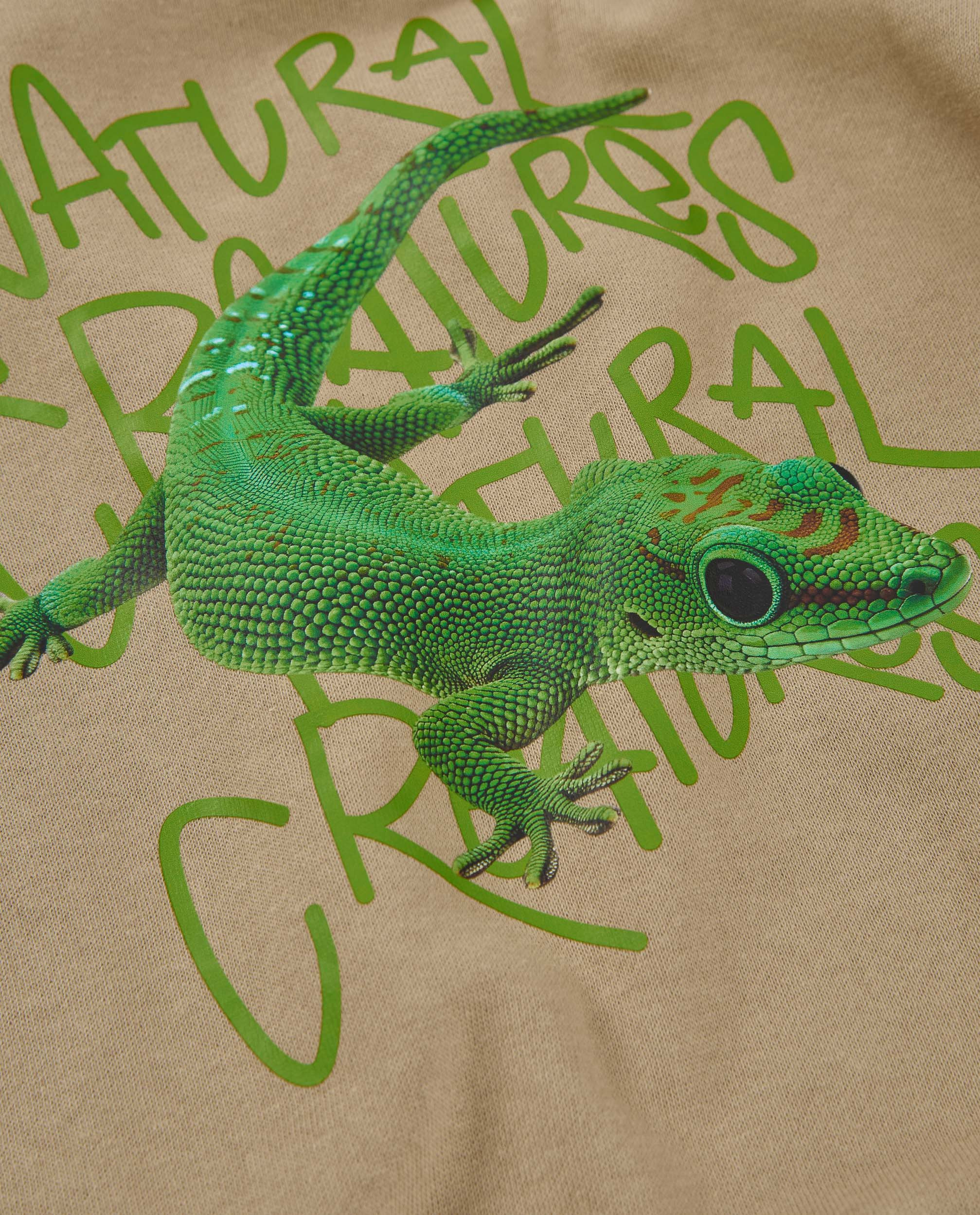 TucTuc Felpe Felpa Bambino Cotone Beige Stampa Gecko