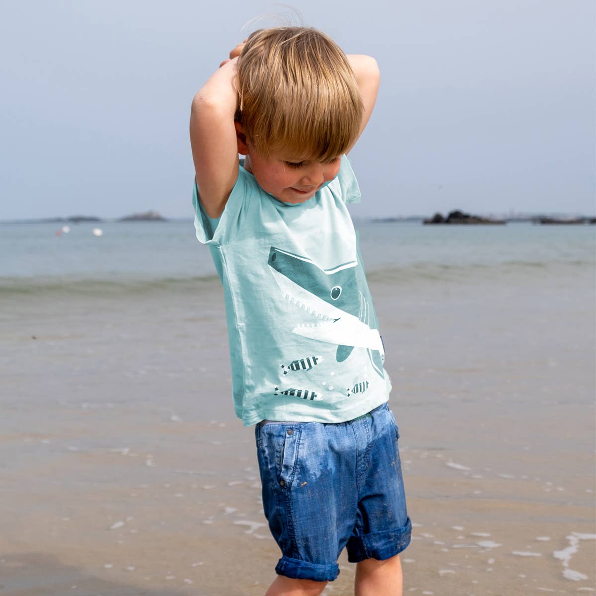 Coq en Pâte Maglietta Squalo t-shirt 6 anni cotone bio