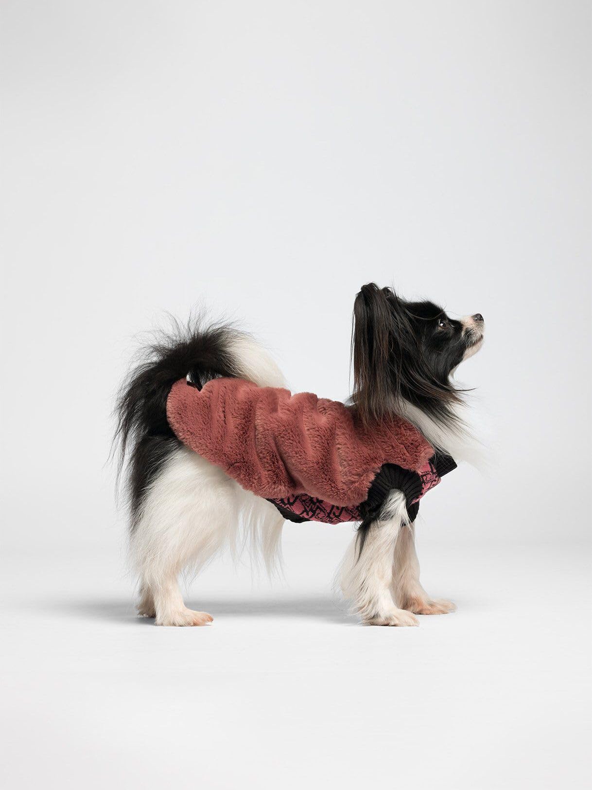 Liu Jo Pets 01597 maglia cane teddy M rosa lana