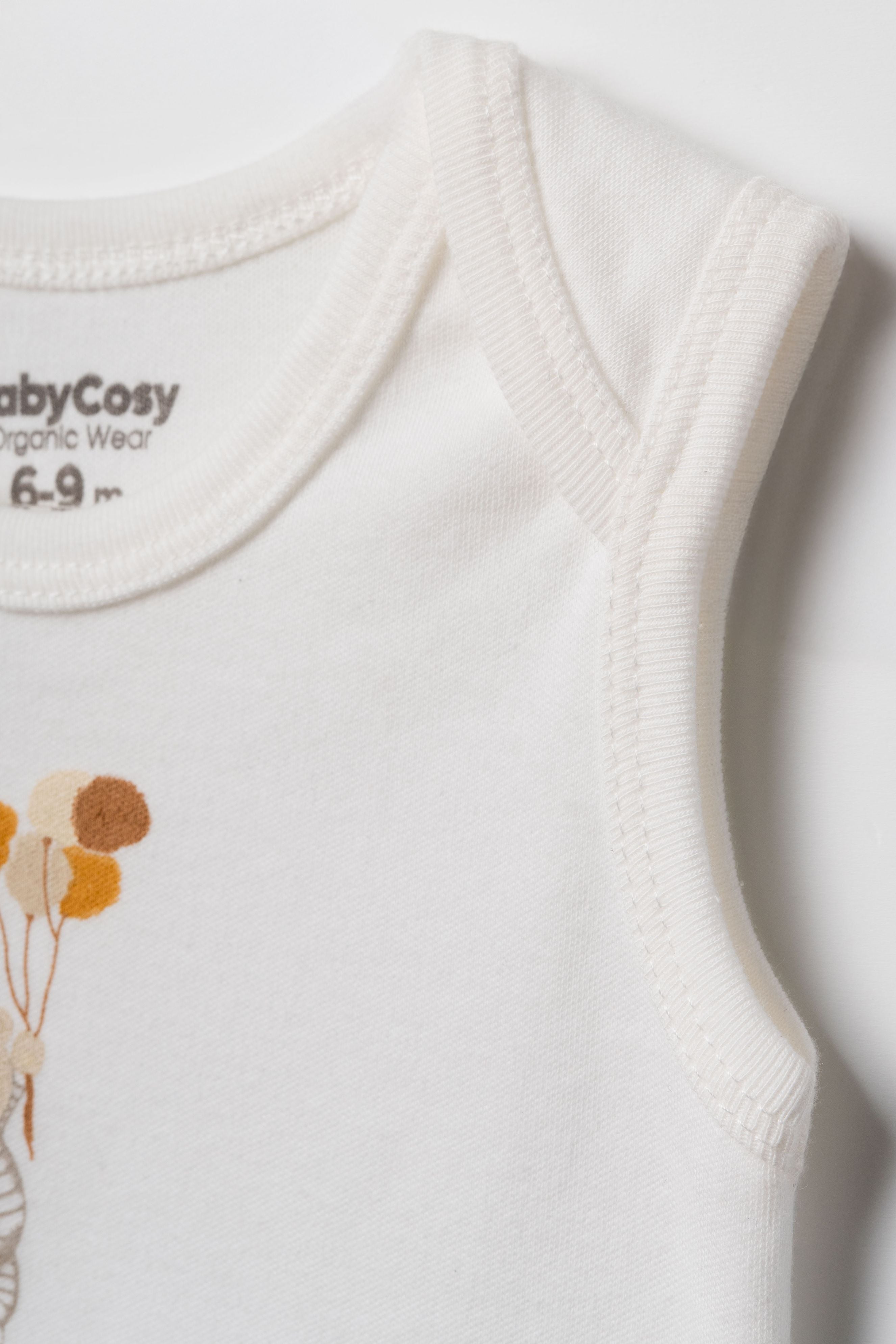 BabyCosy Set 2 Body Smanicati Palloncino Cotone Bio 6-9 Mesi