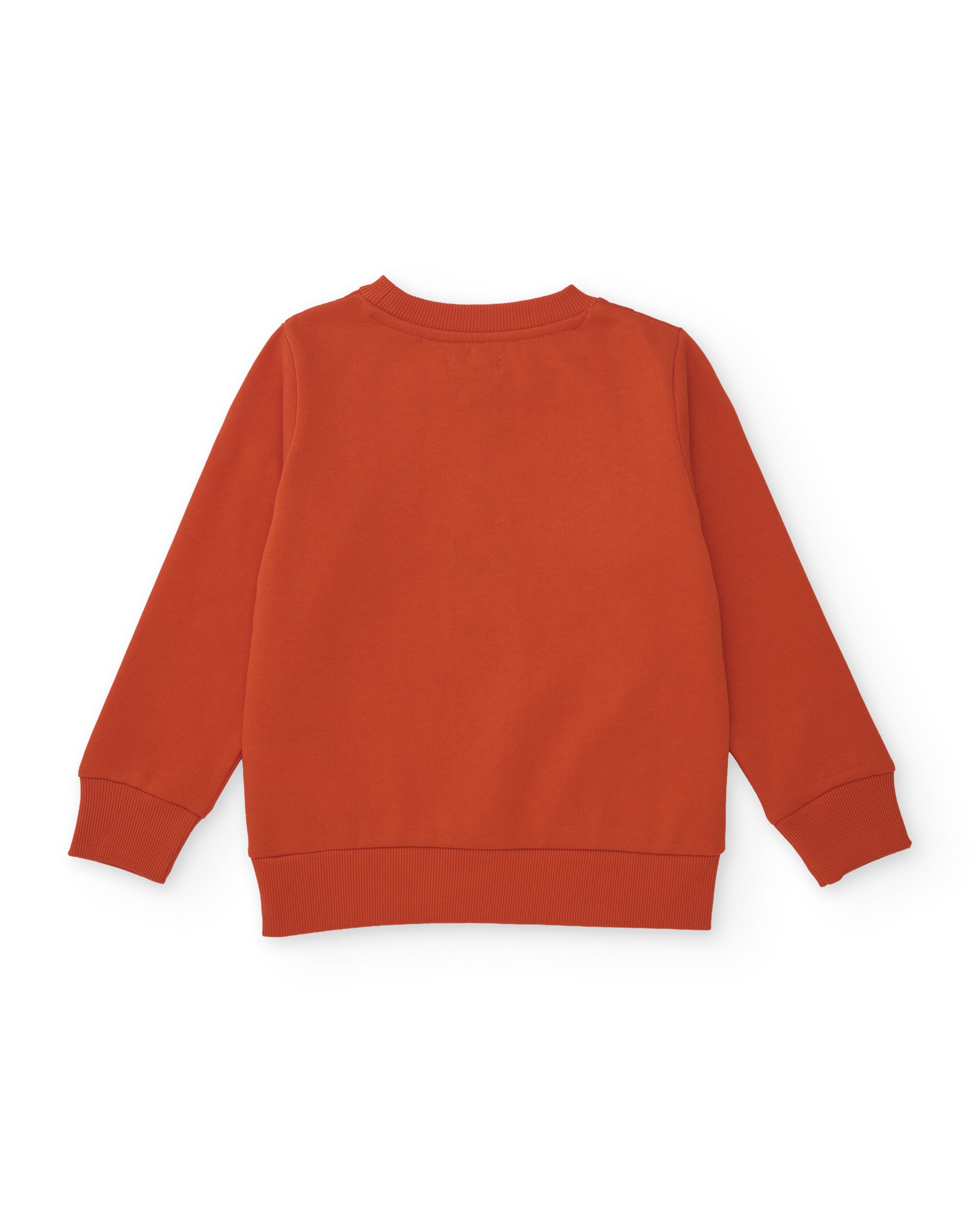 TucTuc Completi felpa cani jogger tuta arancione cotone 4A