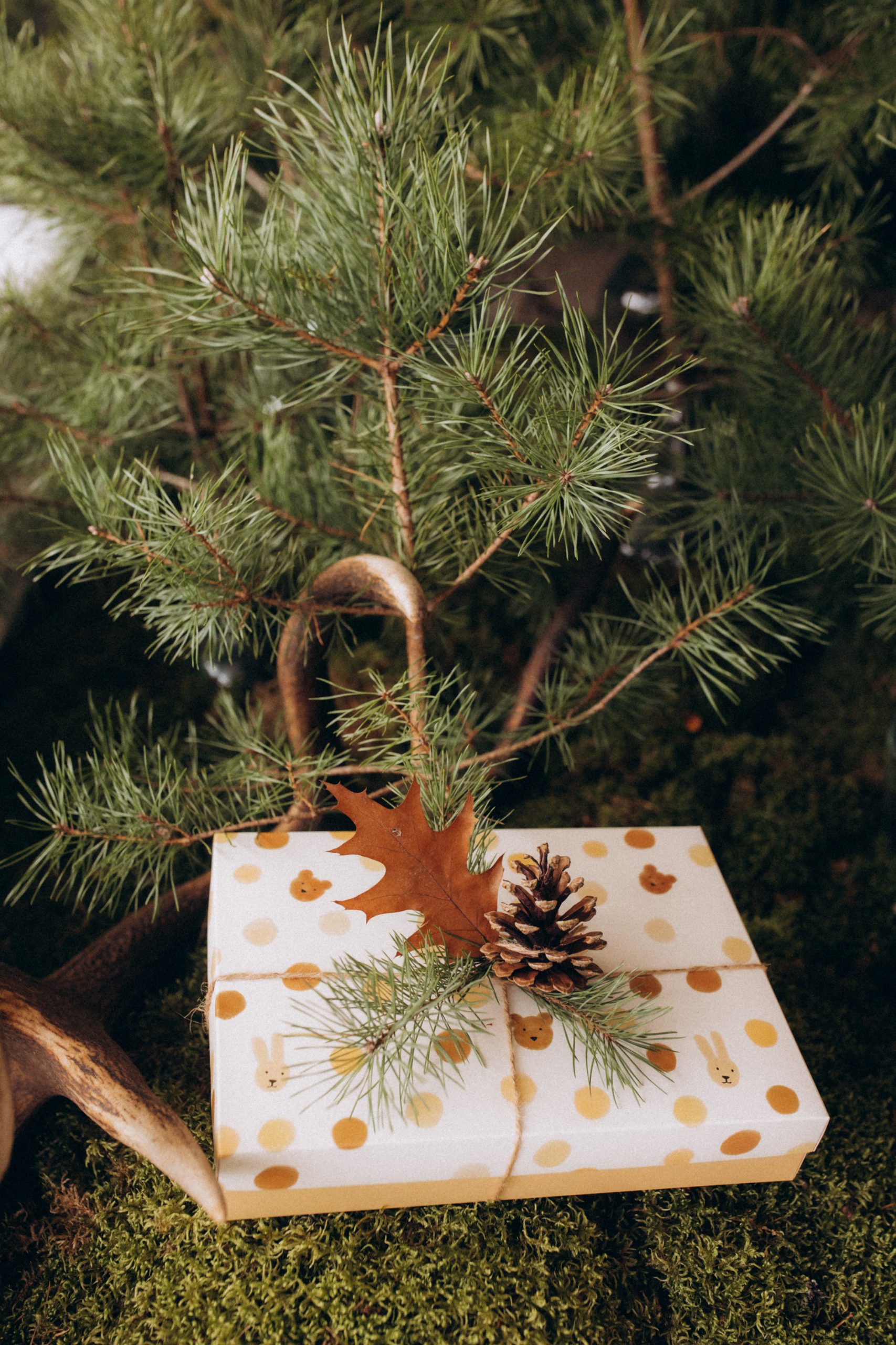 Woolly Organic Gift Box scatola regalo 30x21 cm neonato