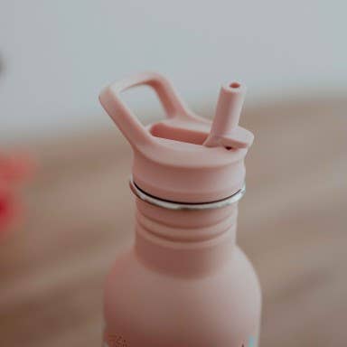 Sassi Borraccia Acciaio Slurpy Polpo 500 ml Cannuccia