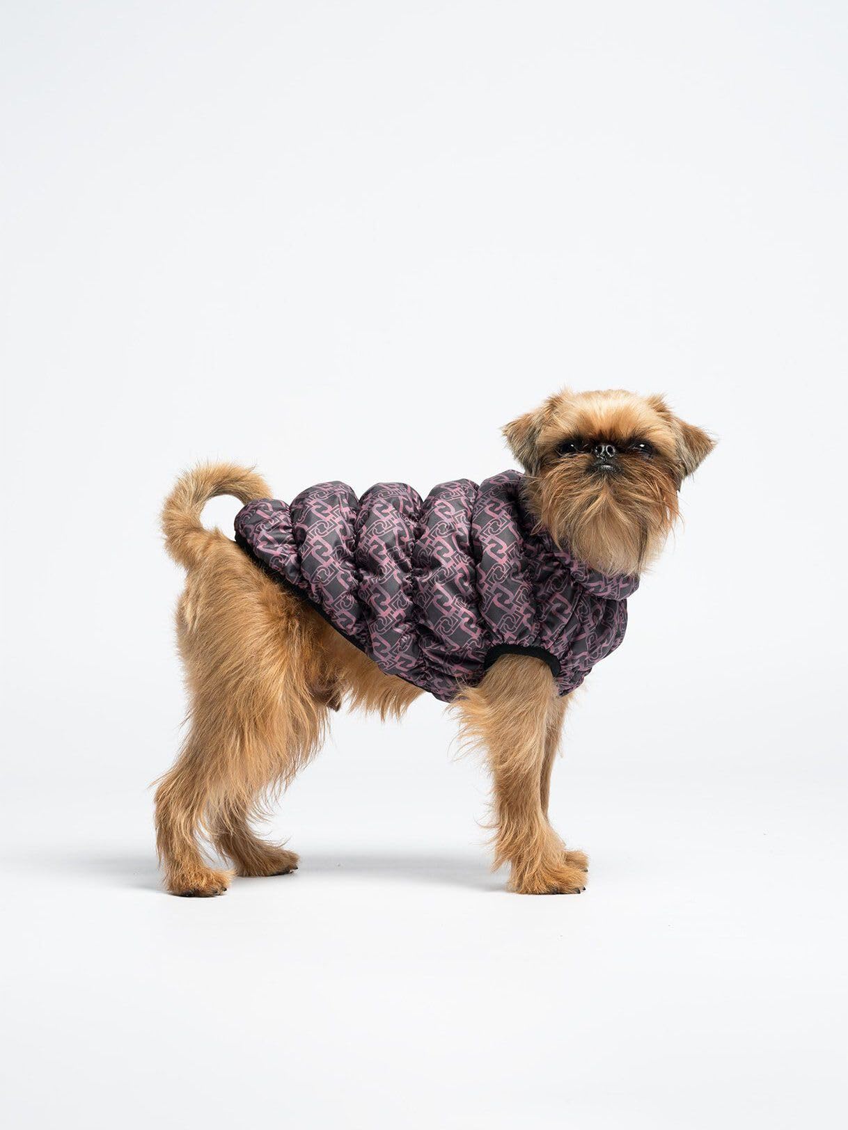 Liu Jo Pets S9974 giacca cane imbottita L nylon