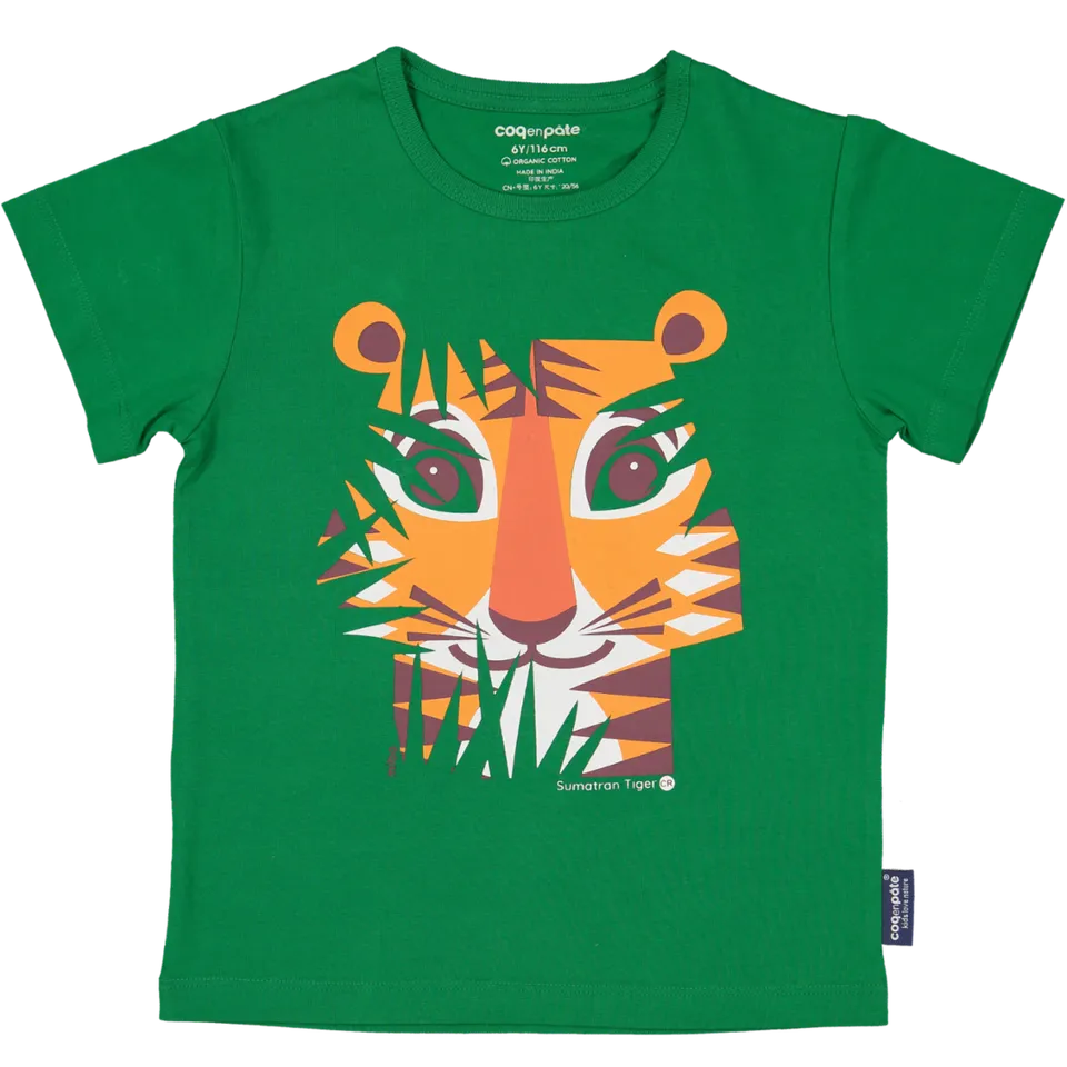 Coq en Pâte Maglietta Tigre cotone bio bimbo 2 anni