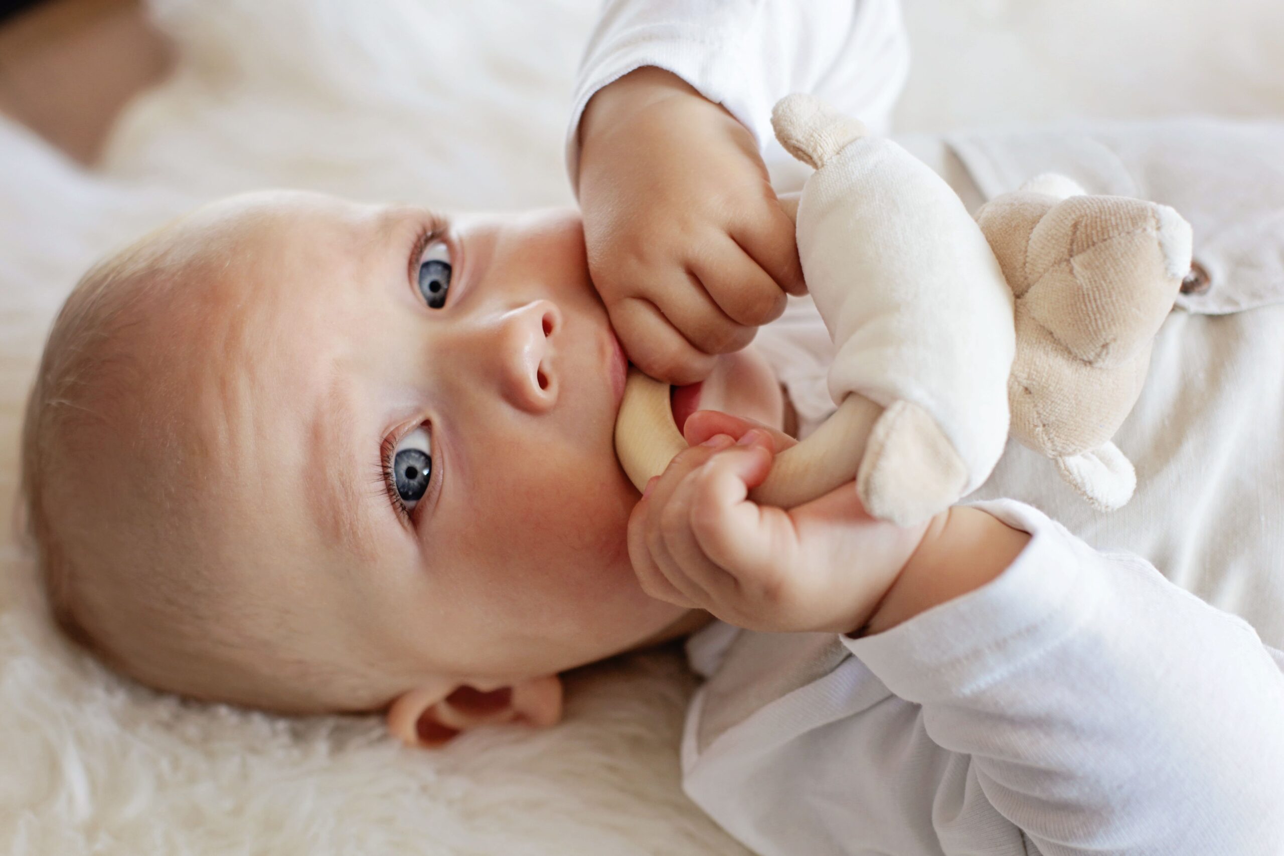 Woolly Organic Rattle Bunny doudou neonato cotone coniglio sonaglio