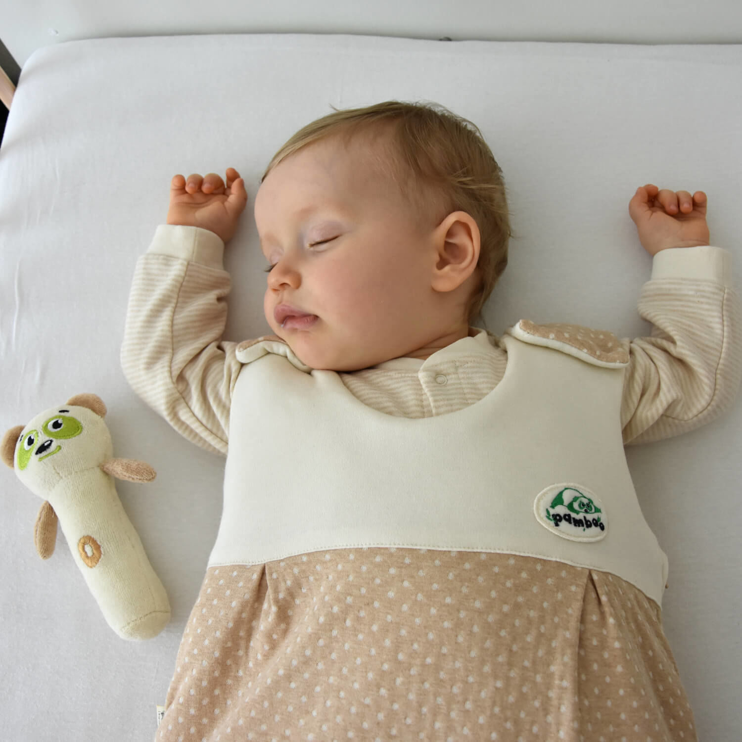 Pamboo Organic sacco nanna neonato cotone organico 0-6 mesi