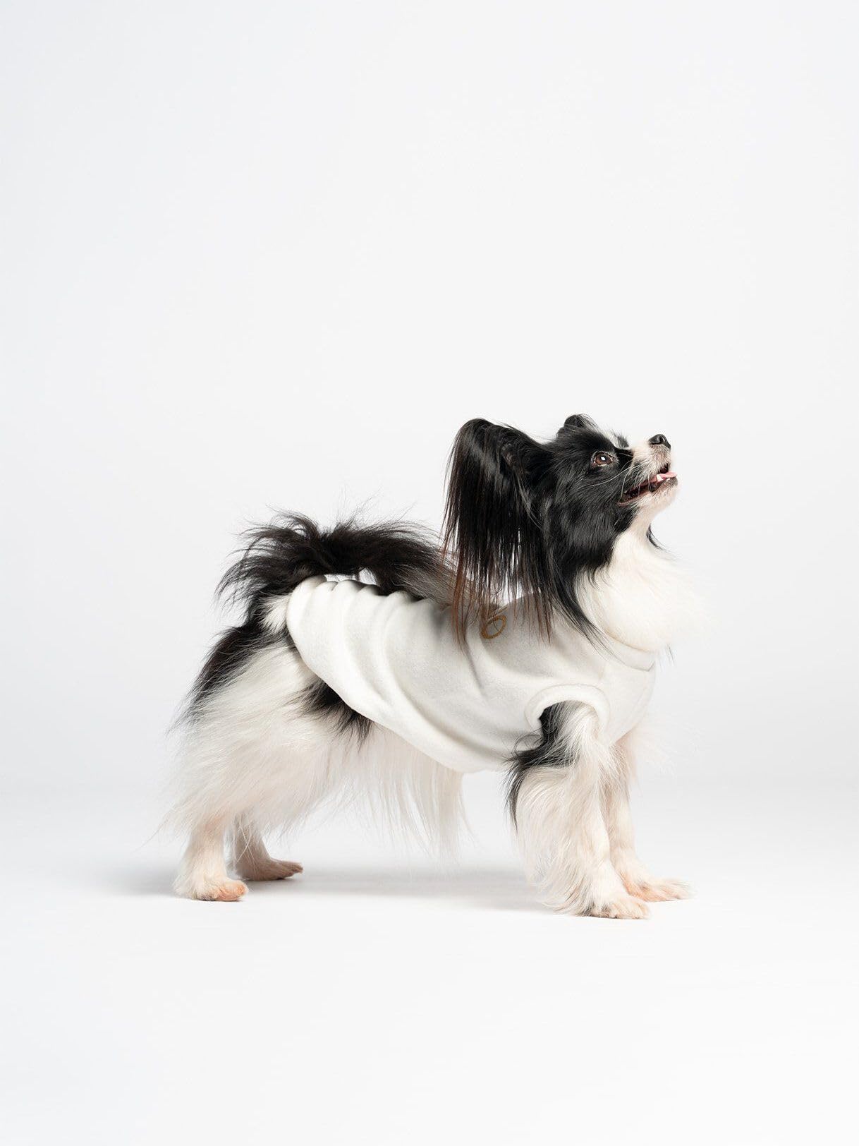 Liu Jo Pets 00106 pullover cane cotone 2XL ricamo lurex