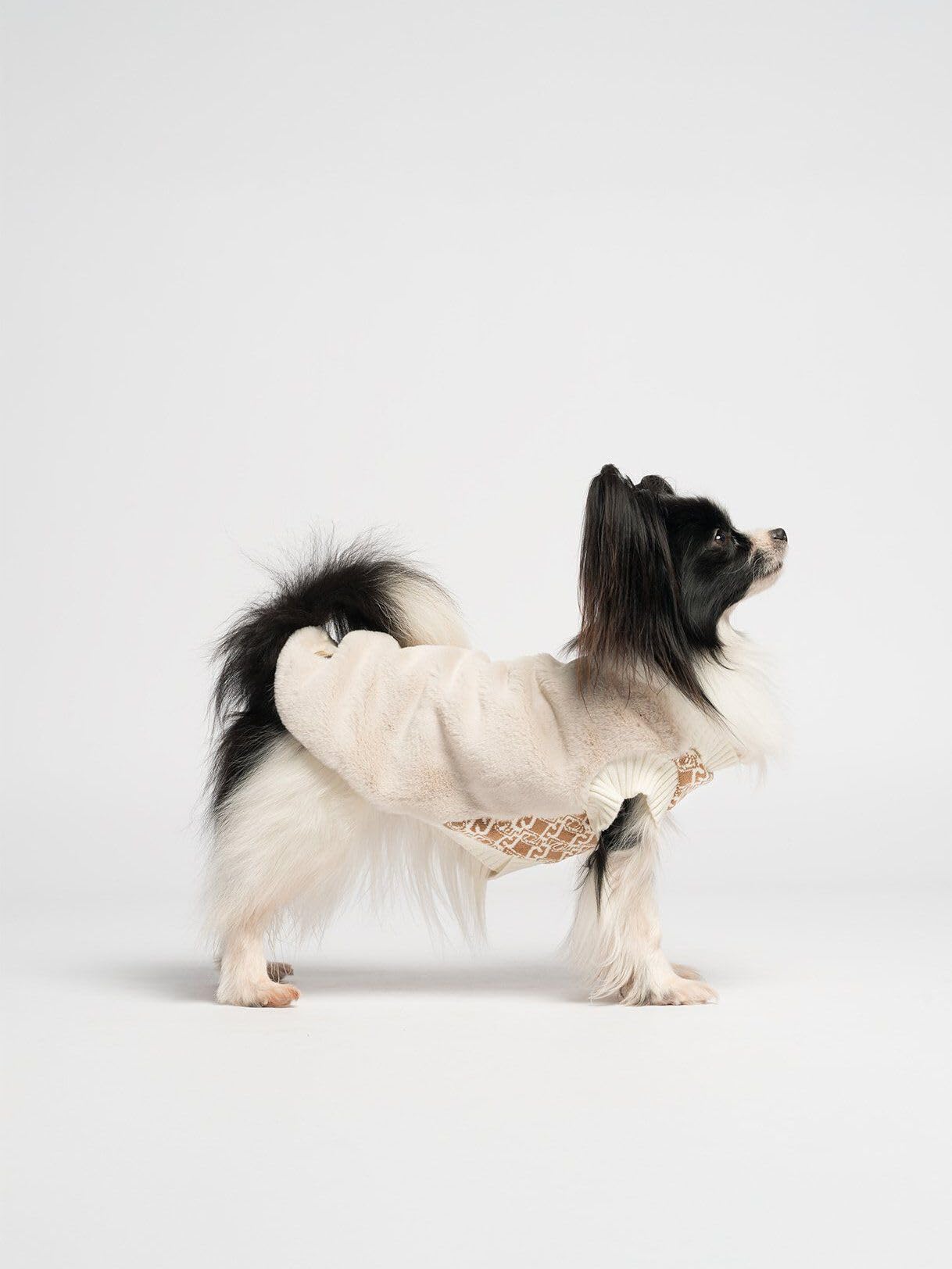 Liu Jo Pets Maglia Teddy XS Maglia Cane Caramello Morbida