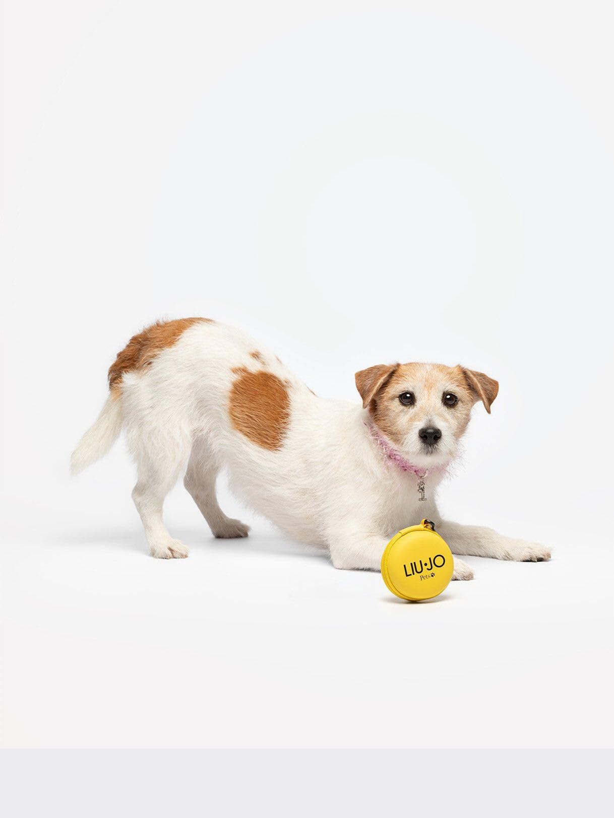 Liu Jo Pets 40756 porta sacchetti cane giallo EVA
