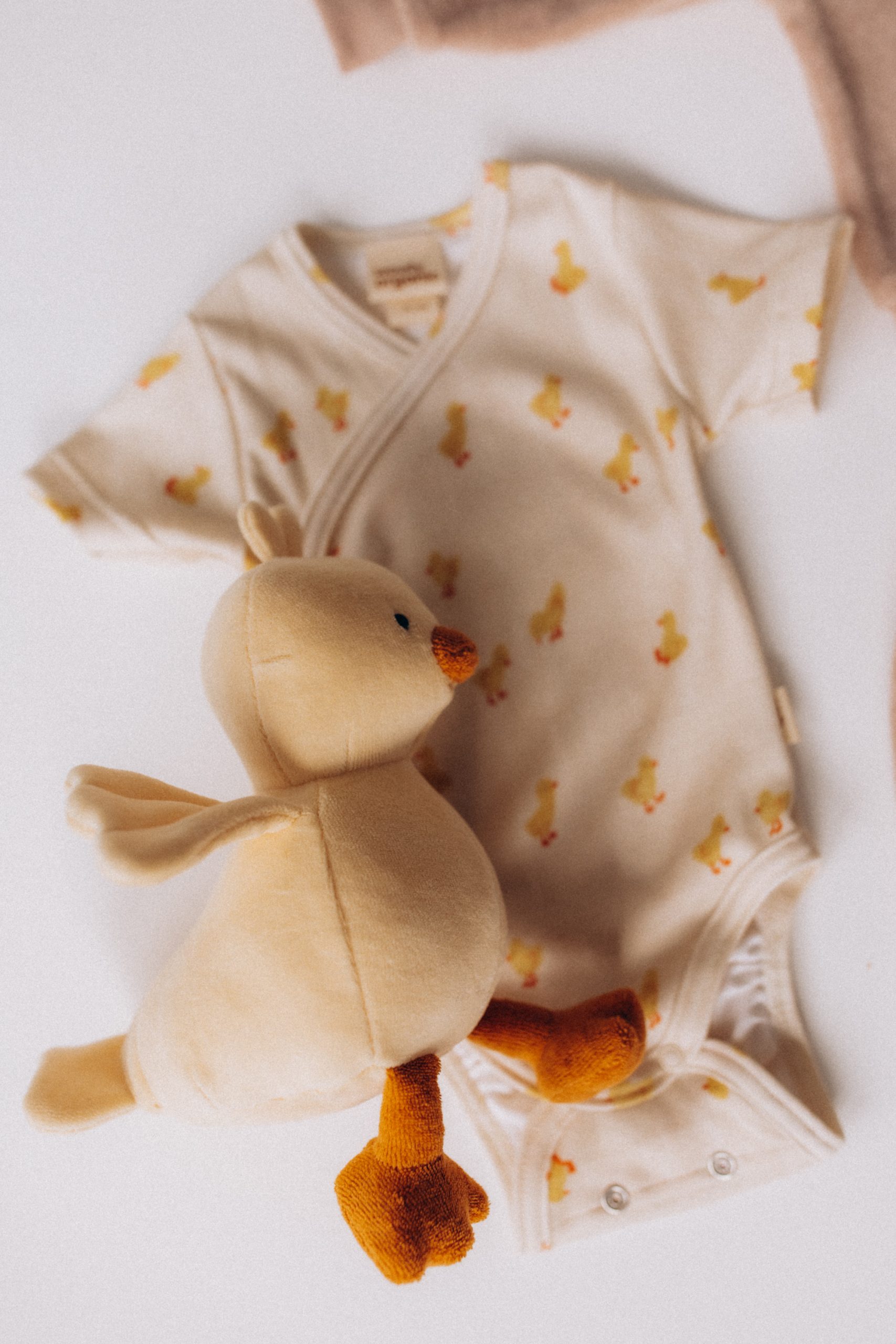 Woolly Organic Baby Bodysuits body incrociato manica corta