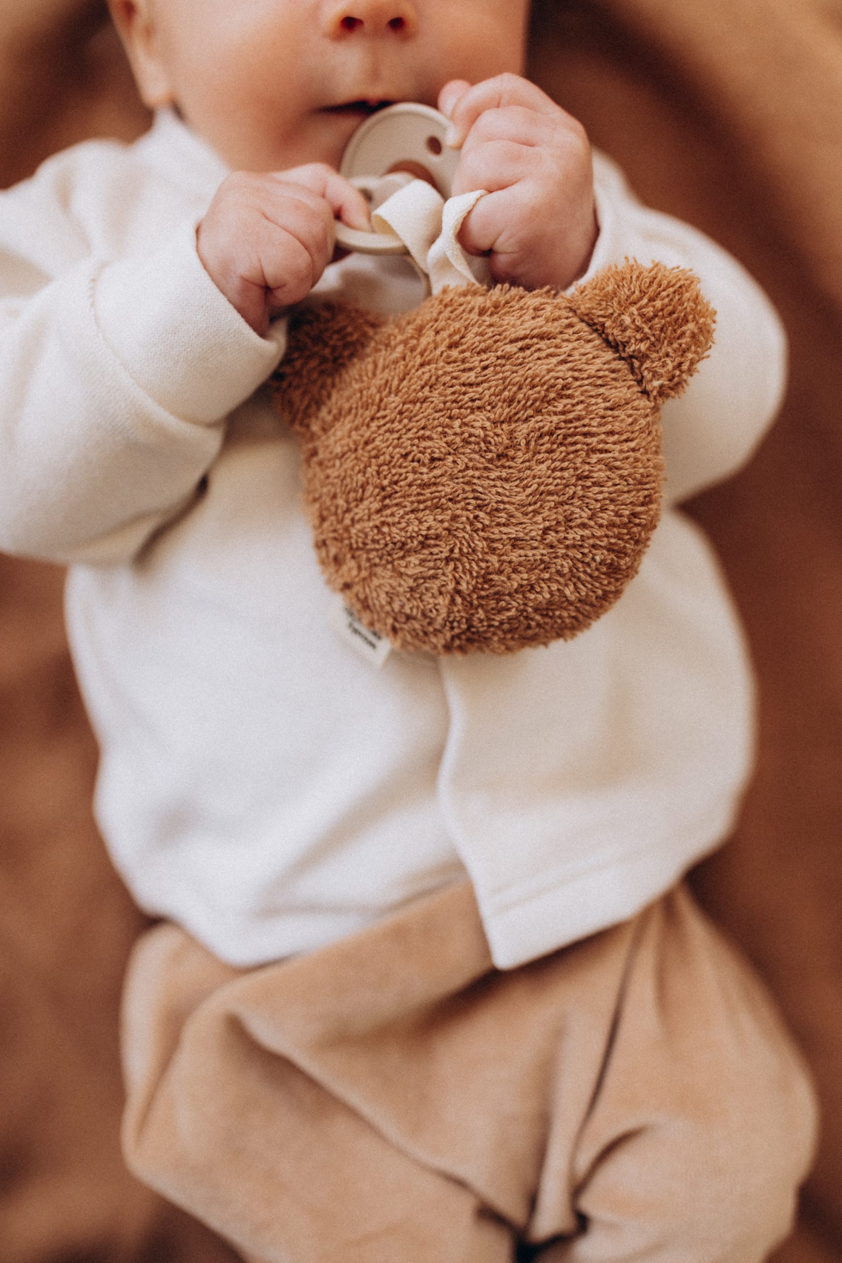 Woolly Organic Teddy portaciuccio orsetto cotone bio