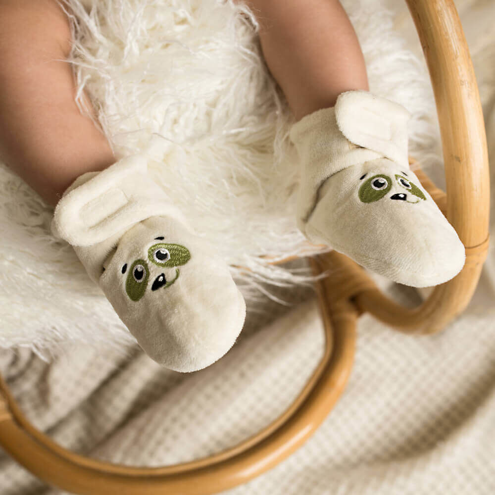 Pamboo Organic scarpine neonato cotone bio panda verde
