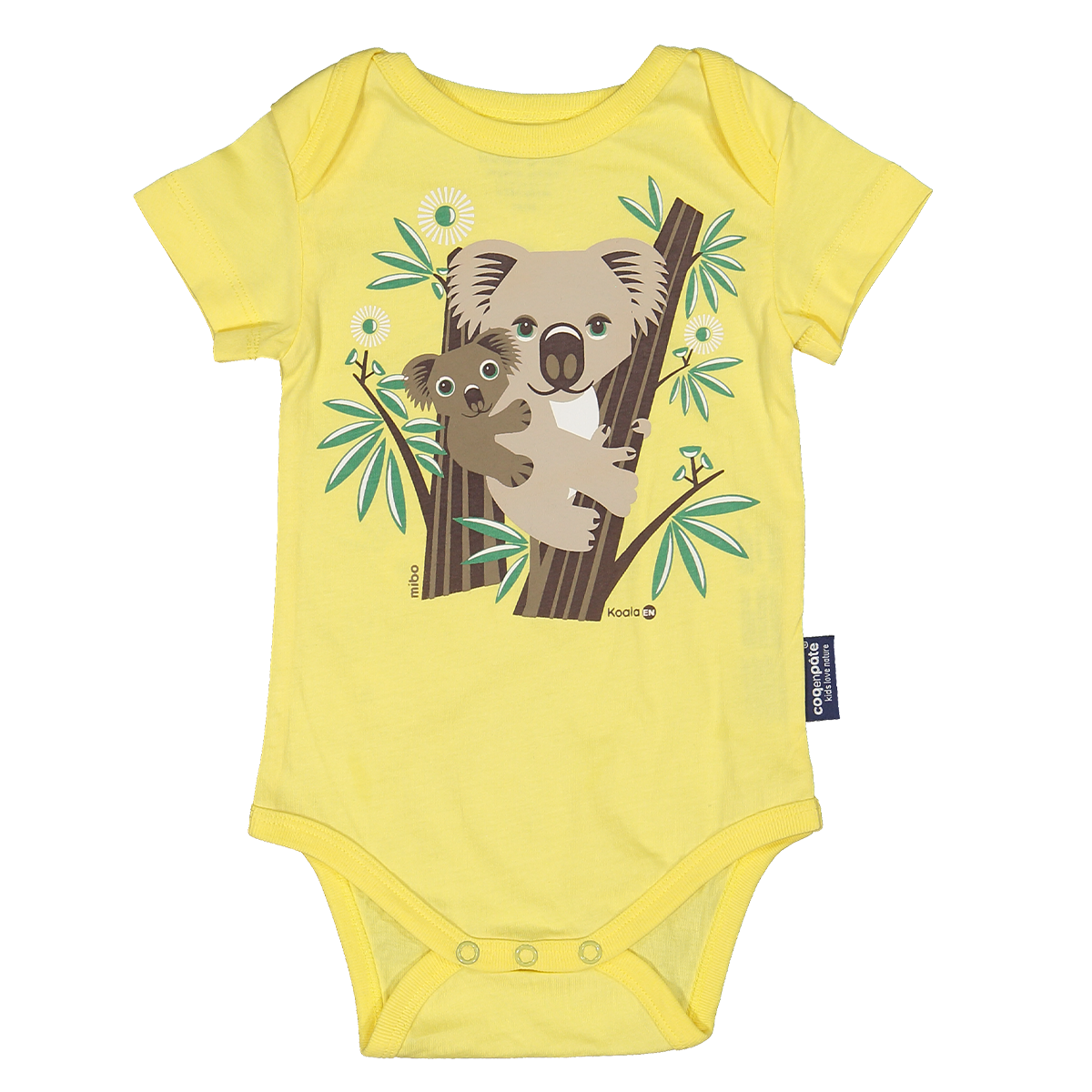 Coq en Pâte body Koala cotone biologico 3-6 mesi