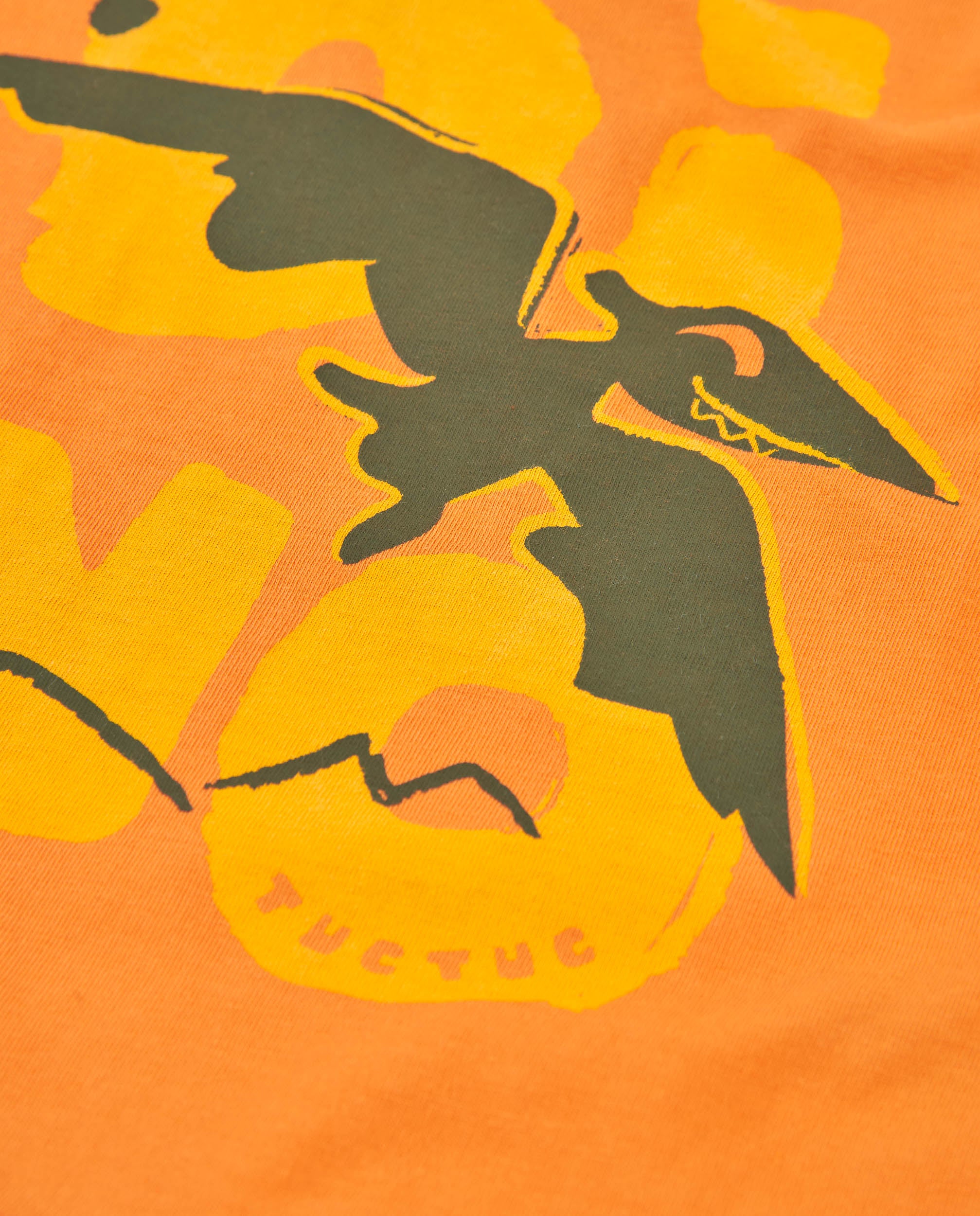 TucTuc Magliette T-shirt bimbo arancione stampa dinosauro